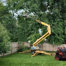 Best Weed Control  in San Anselmo, CA